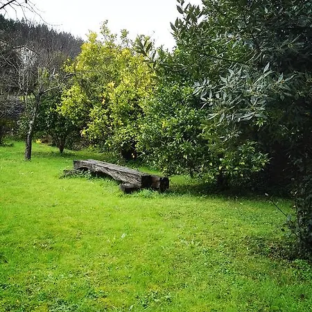 Artienza
