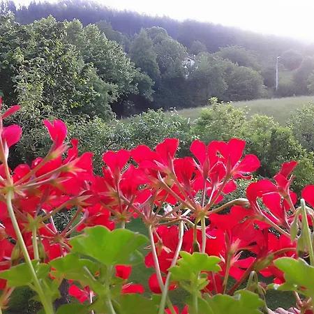 Artienza Ramales de la Victoria