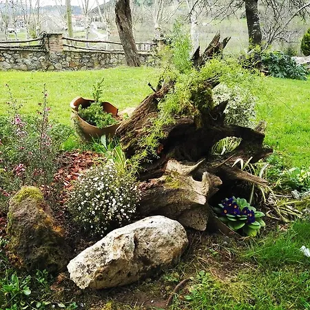 Artienza Country house *