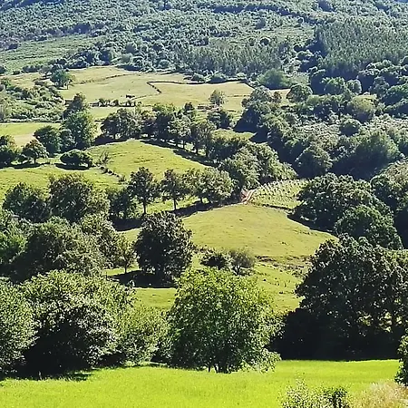 Artienza