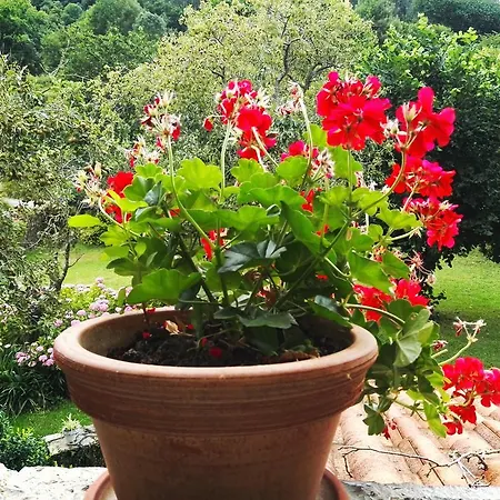 Artienza Casa de Campo *