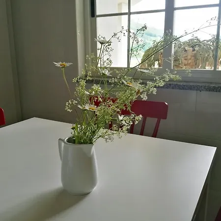 Artienza Country house *