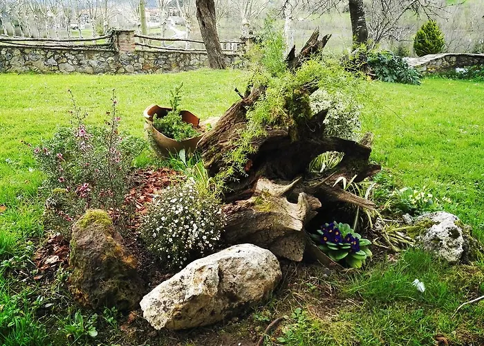 Artienza Country house *