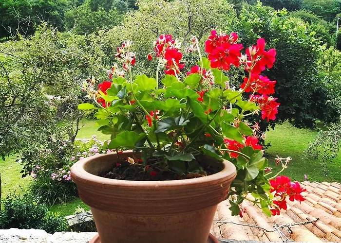 Artienza Country house *